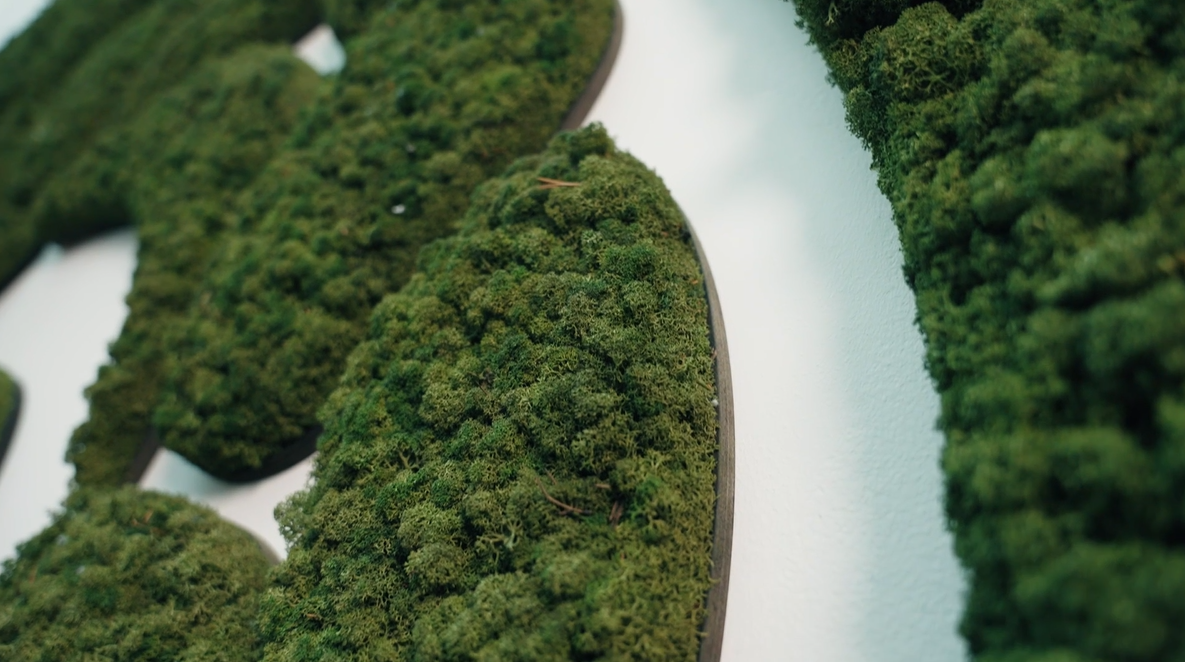 Novozymes naerbillede