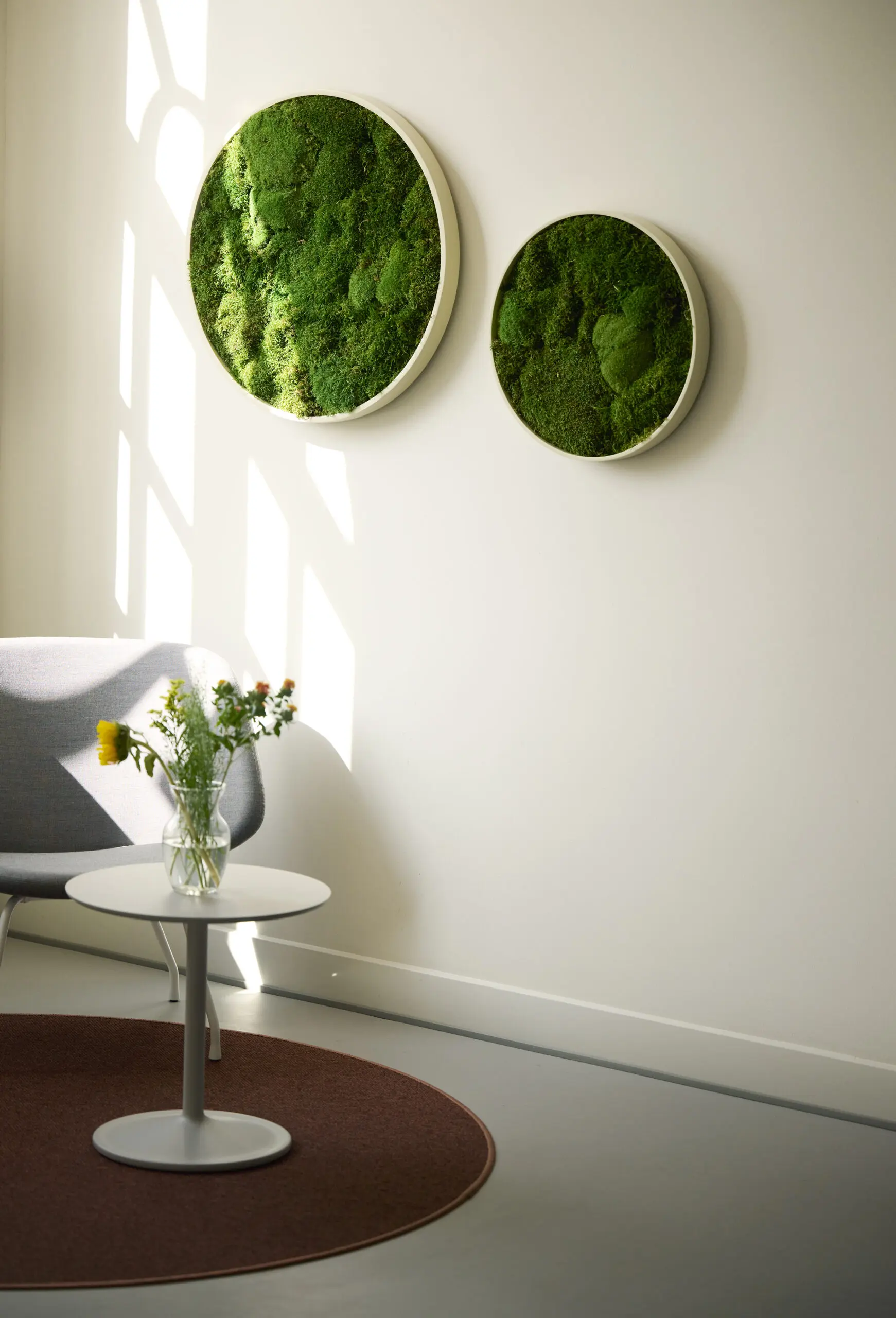 Rusmiddel Aalborg DSC1808 scaled