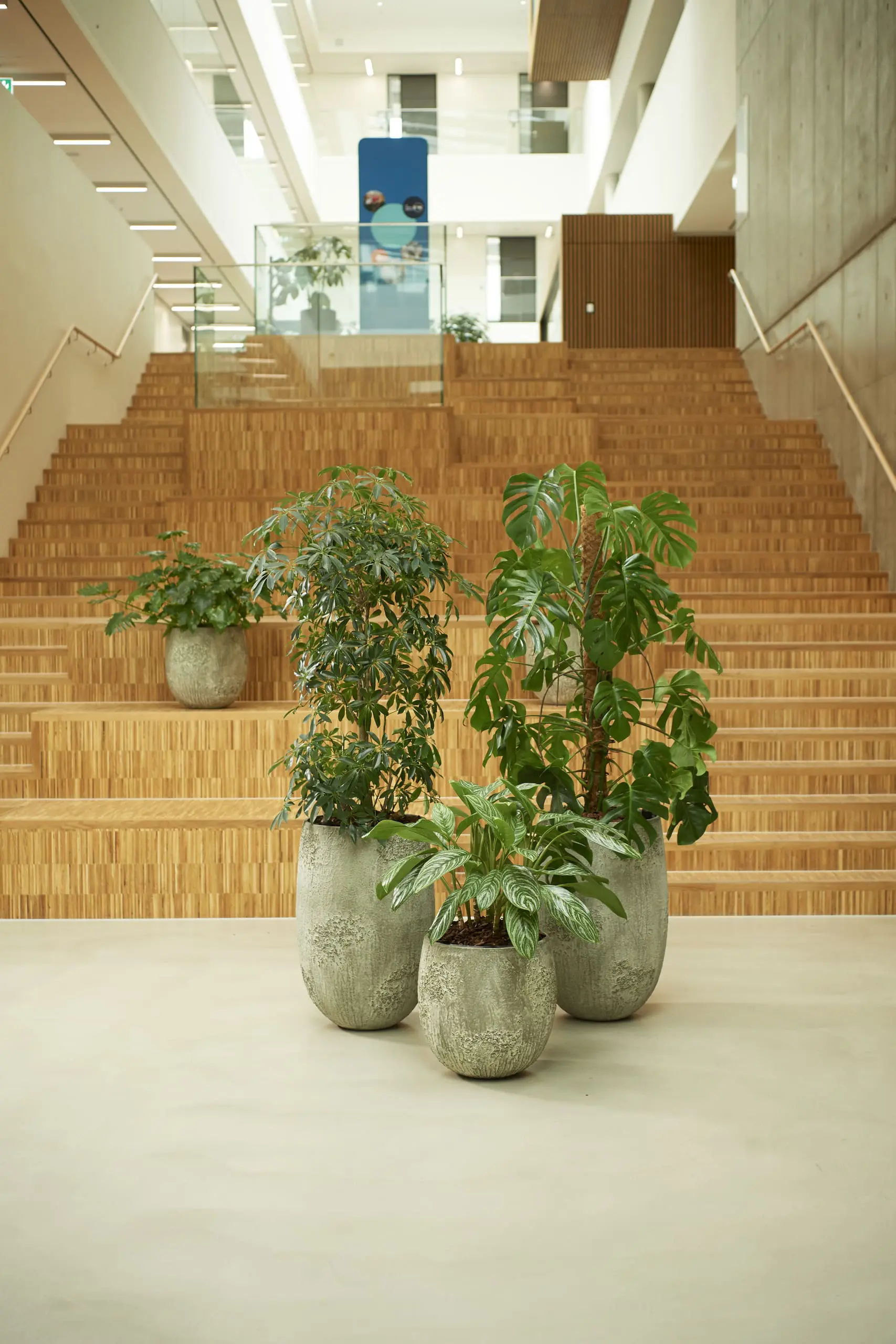 AAU SUMD Marts 2024 DSC8227