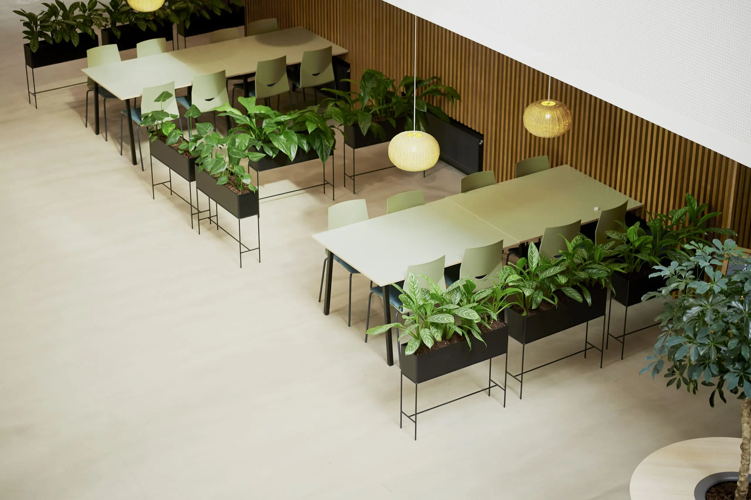 AAU SUMD Marts 2024 DSC8478