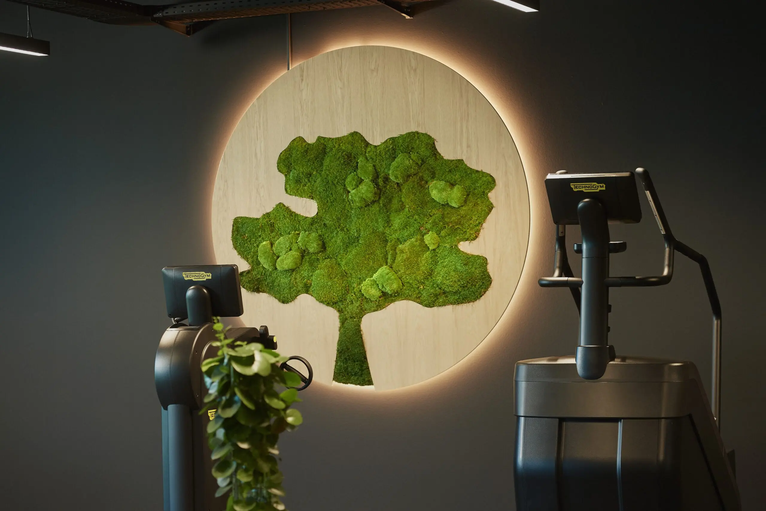 Himmerland Golf DSC7406 1 scaled