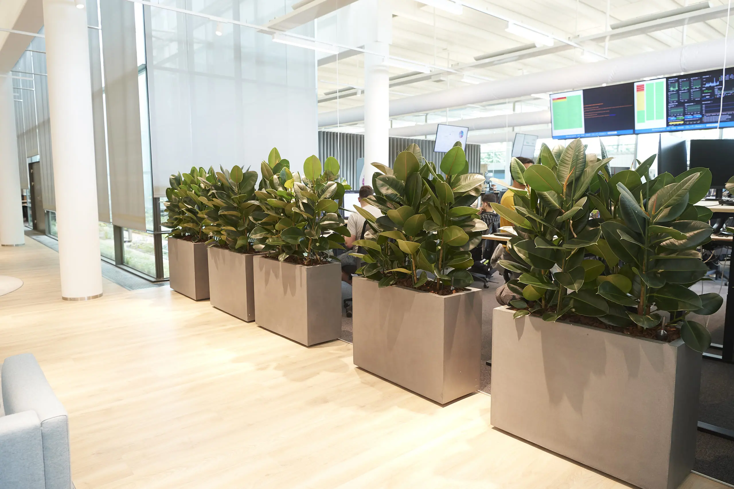 Visma juni 2024 DSC3927