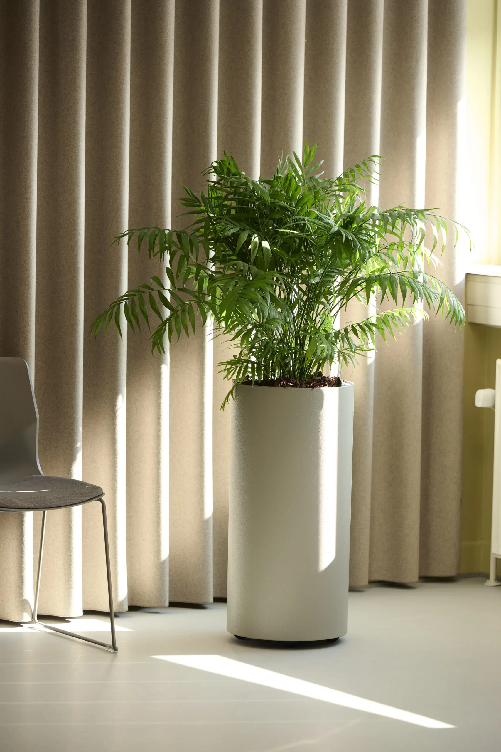 Rusmiddel Aalborg DSC1654 1 scaled