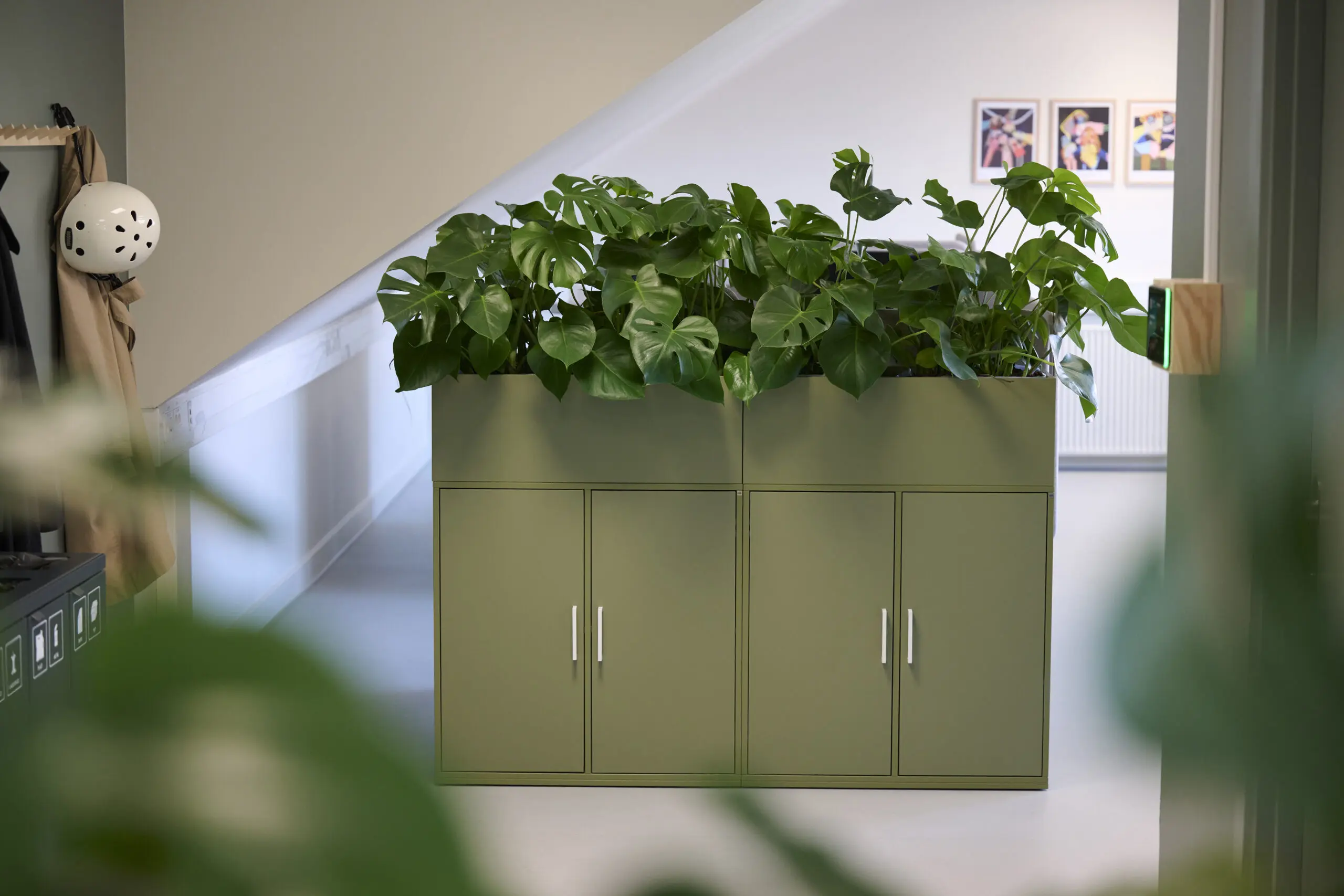 Rusmiddel Aalborg DSC1700 scaled