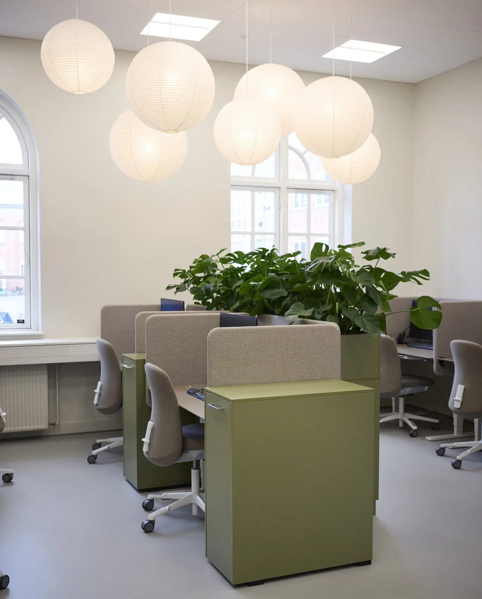 Rusmiddel Aalborg DSC1887 scaled e1728474569231