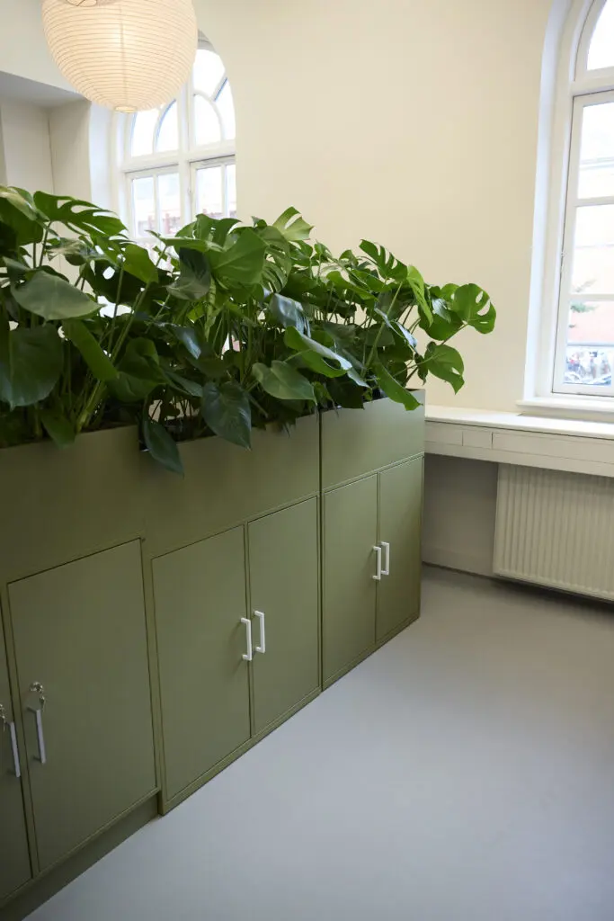 Rusmiddel Aalborg DSC1917