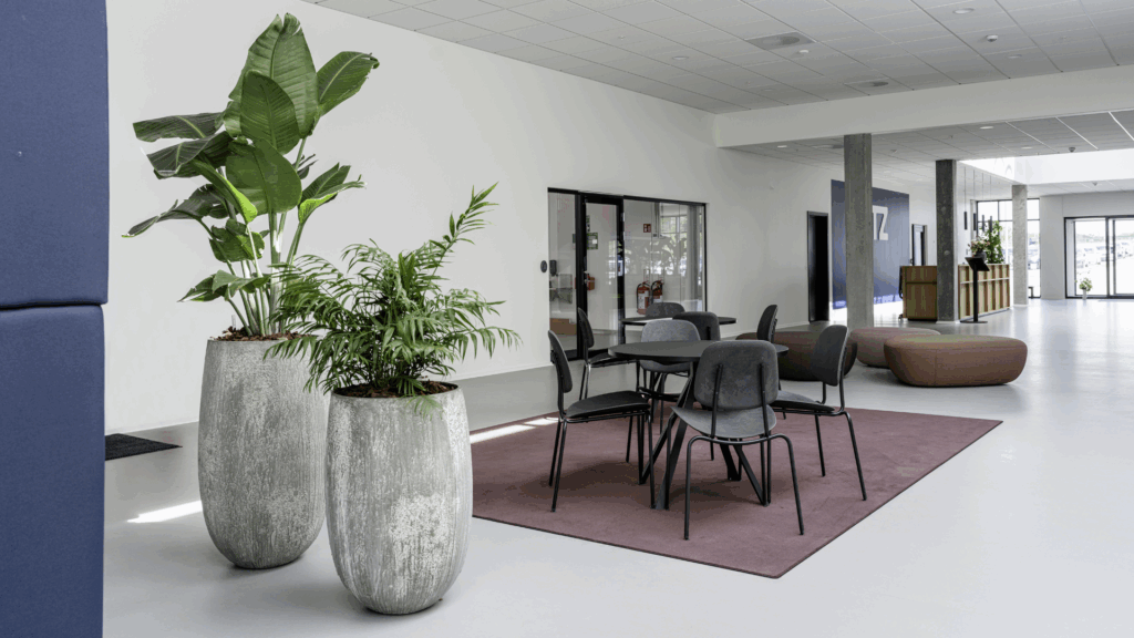 FTZ indoor store krukker og planter