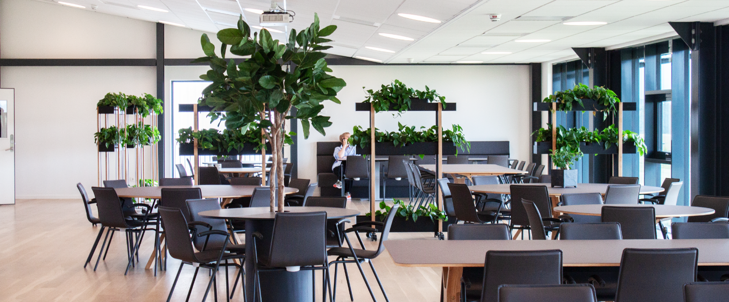 Vikima Seed centermedia