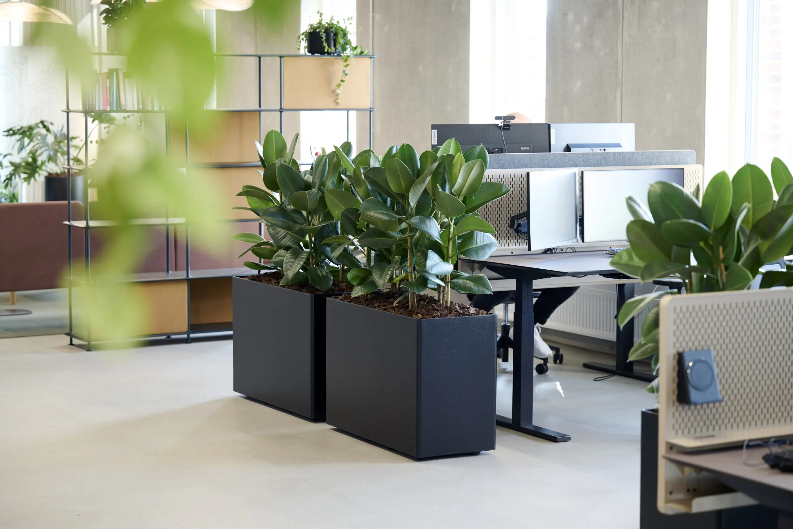 Sectra DSC0433 scaled