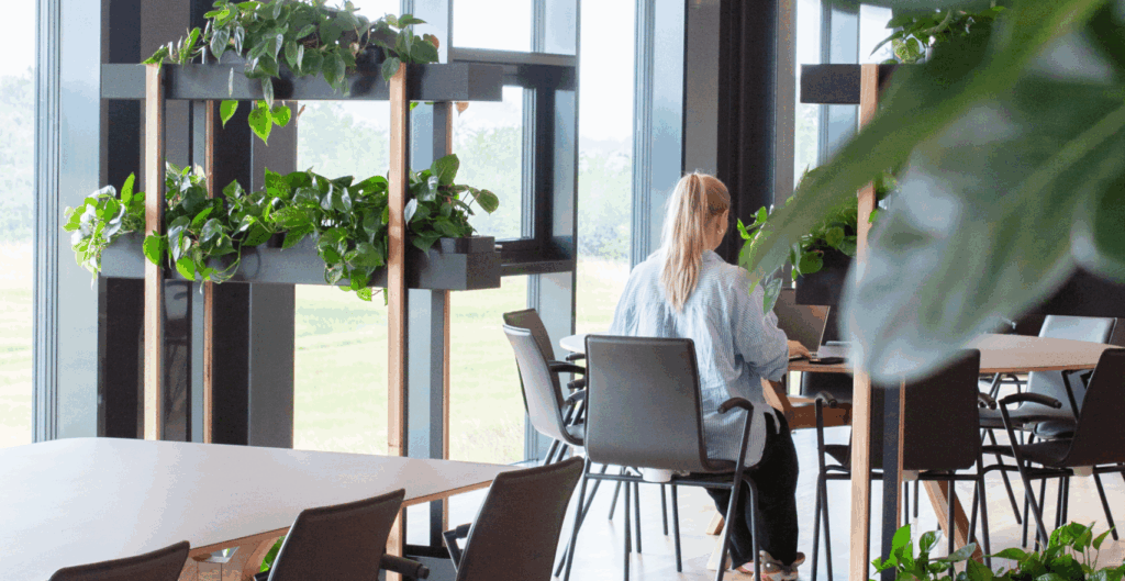 Vikima IMG 5064 1 scaled e1754376382595