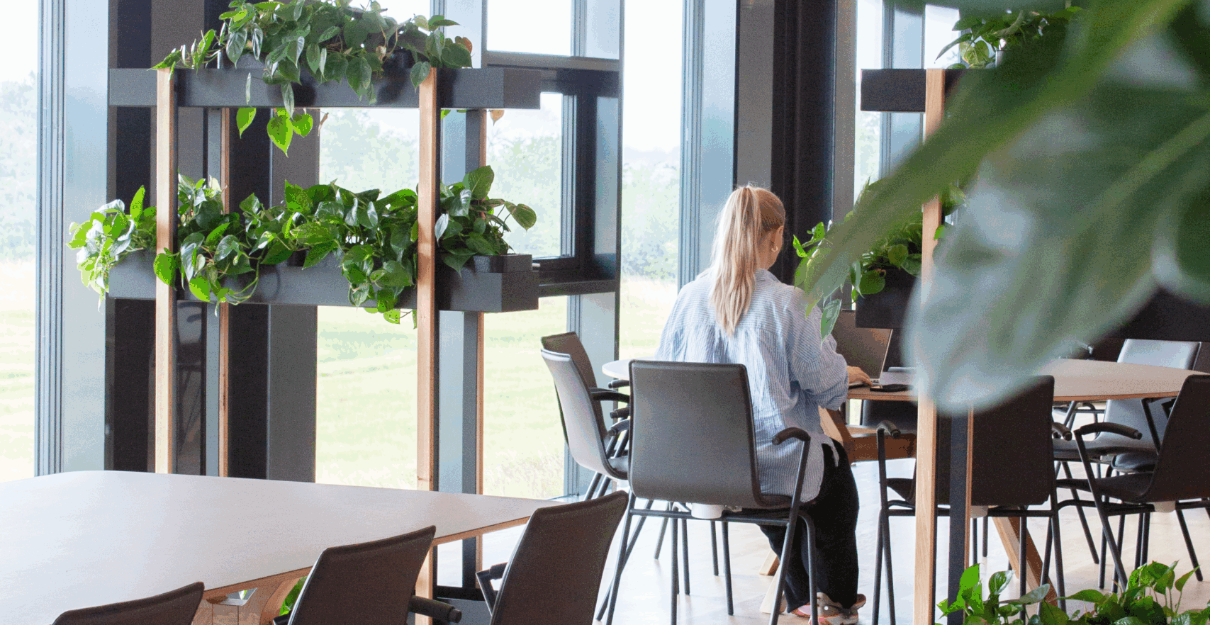 Vikima IMG 5064 1 scaled e1754376382595