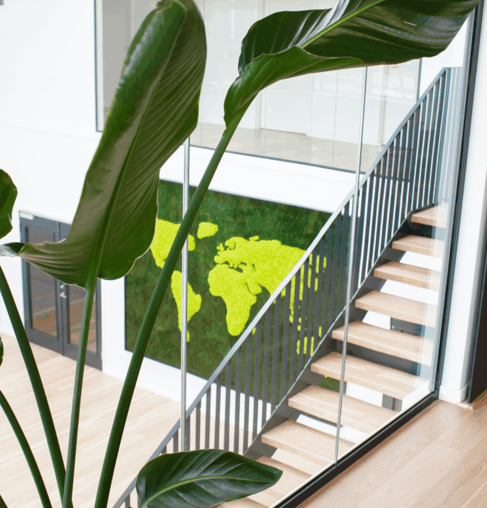 Vikima IMG 5150 scaled e1753877822746