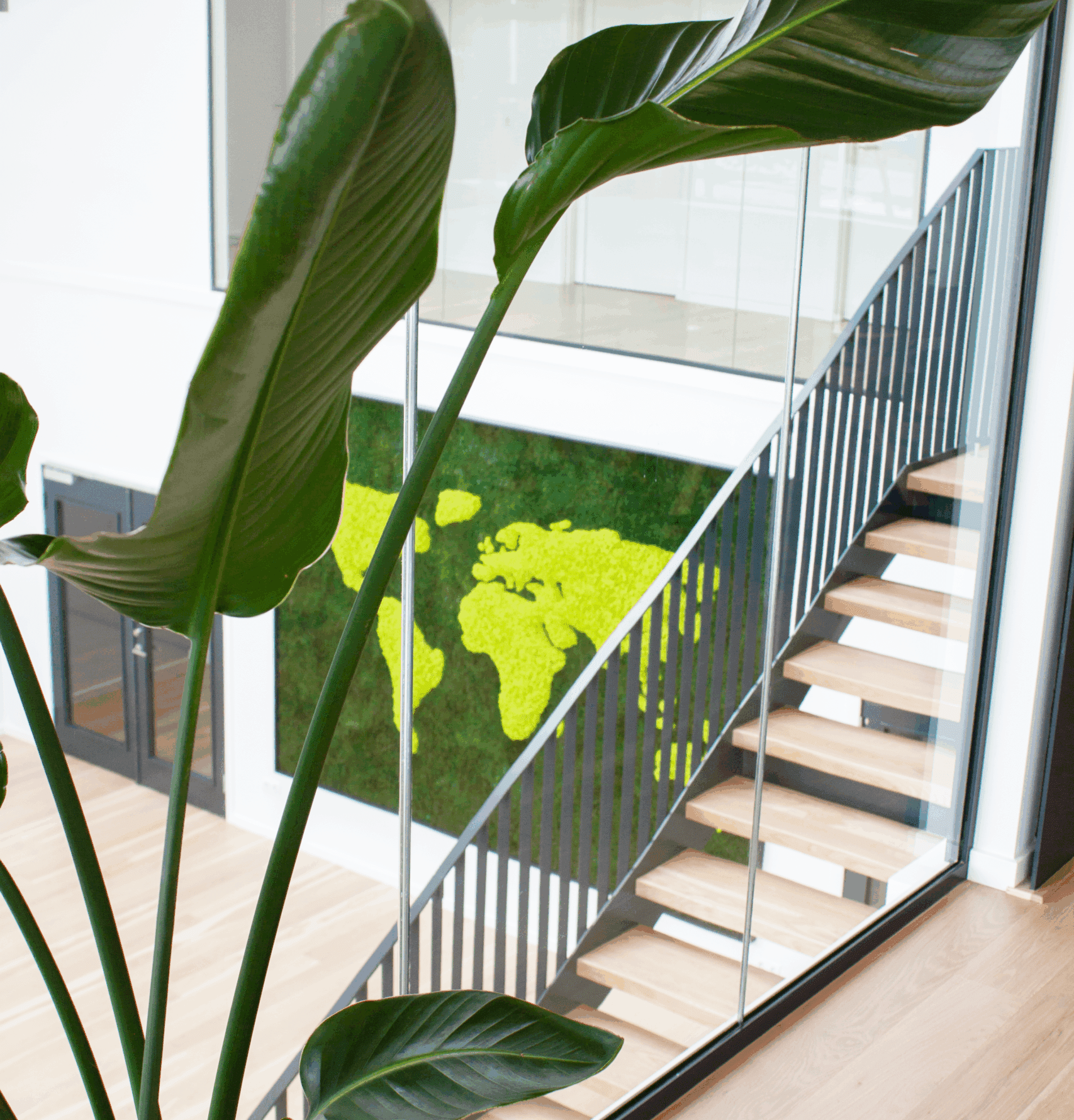 Vikima IMG 5150 scaled e1753877822746