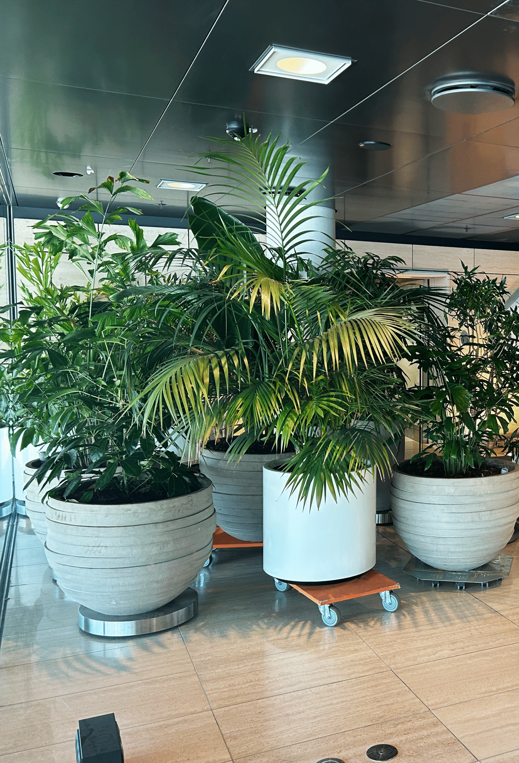 IMG 0291 scaled e1759135490578