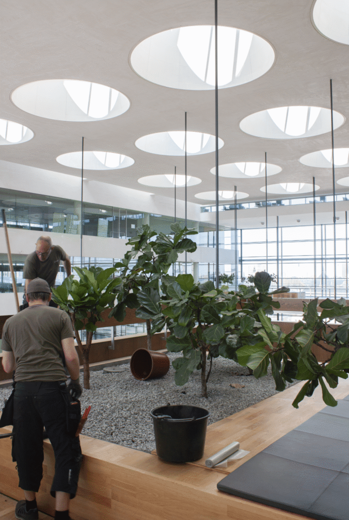 IMG 5021 scaled e1759135521663